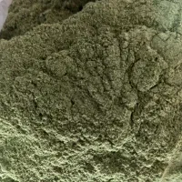 کاکوتی (کهلیک اوتو)