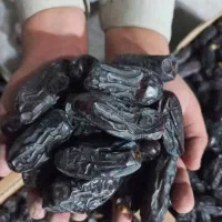 صنایع بسته بندی و سردخانه خرمای حافظ صنعت