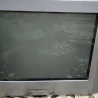 تلفزیون