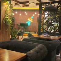 استخدام نیرو در مجموعه لمو
