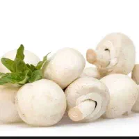 قارچ کشت ارگانیک
