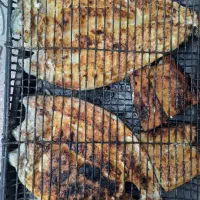 فروش ماهی قزل آلا ب صورت خرده و عمده