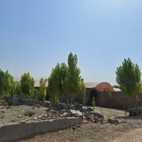 گلخانه اجاره