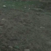 زمین-در-شاداباد