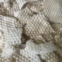 فروش نان خشکه