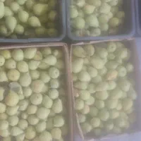گلابی اسپادانا