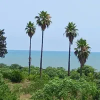 ویلای چهارخوابه  استخردار تراس روبه ساحل