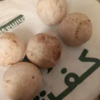 تیله سنگی وزن ۳۰۰گرم
