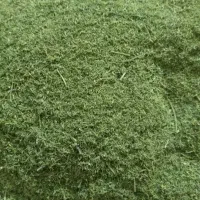 شوید و مرزه