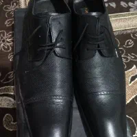 کفش مردانه نو