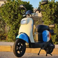 موتور برقی آکبند نو