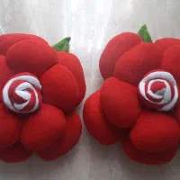 گل رز پولیشی