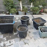 گلدان پلاستیکی