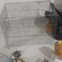 قفس پرنده