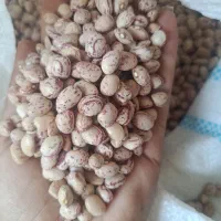 ارزان سرای انواع  حبوبات رضایی****