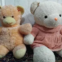خرس بزرگ