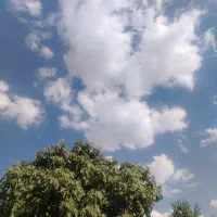 سیم کارت طلایی