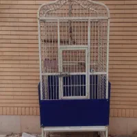 قفس پرنده کاملا سالم