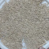 جو دیم|عمدهفروشی|کرمانشاه, |دیوار