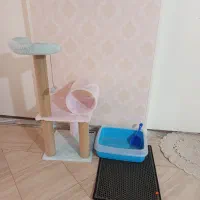 اسکرچر گربه در حد کاملا نو