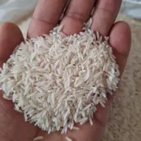 برنج فجر سوزنی امساله