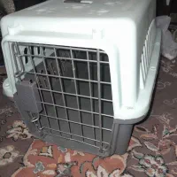 باکس گربه