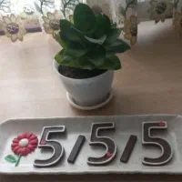 شکلات شیک و لاکچری