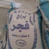 برنج فجر 5ستاره عنبر بو