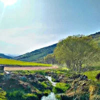 منشی دفتر بیمه