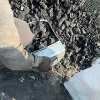 زغال کبابی باغی و پسته تنه عمده فروشی