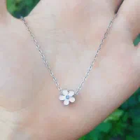 گل زیبا