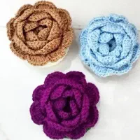 جامهری گل رز