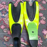 فین شنا