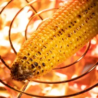 فیلمبرداری و عکاسی و تولید محتوا تبلیغاتی