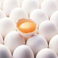 تخم مرغ زرده طلایی روز