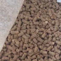 خورا‌ک
