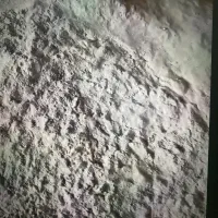 غبار سیلو گندم ( خوراک دام و طیورو ماهی)
