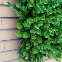 گرینوال مصنوعی شمشاد