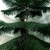 کاج اپارتمانی بزرگ