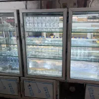 ویترین یخچالی