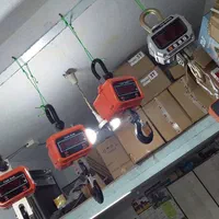 باسکول آویز قلاب فلزی اورجینال 500kg