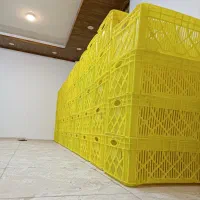 سبد. جعبه  لاشه مرغ