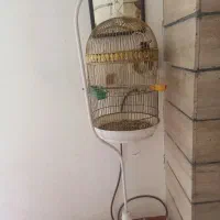 قفس پرنده