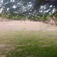 زمین باغ گلباف