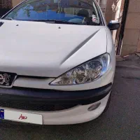 ۲۰۶اس دی مدل ۹۶ بی رنگ تک برگ سند