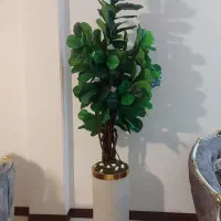 گل و گلدون نو