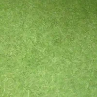 اویشن کوهی درجه یک