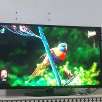 ۴۳ اینچ اسمارت الجی اصل کره