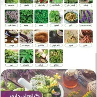 بذر بسته بندی شده خانگی