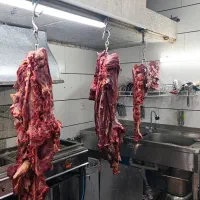 کبابی حیدری جغور بغور و قرمه گوسفندی